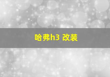 哈弗h3 改装